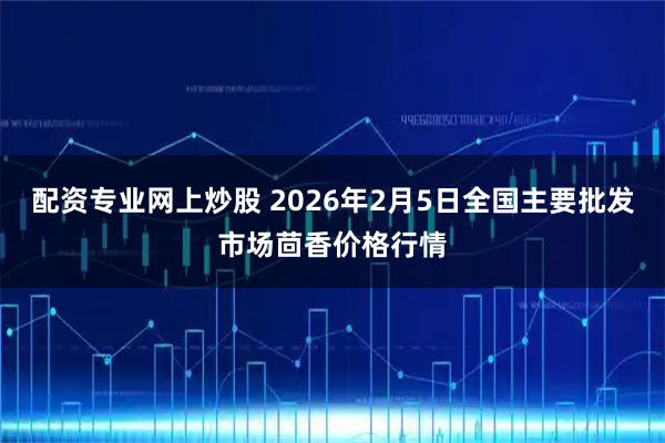 配资专业网上炒股 2026年2月5日全国主要批发市场茴香价格行情